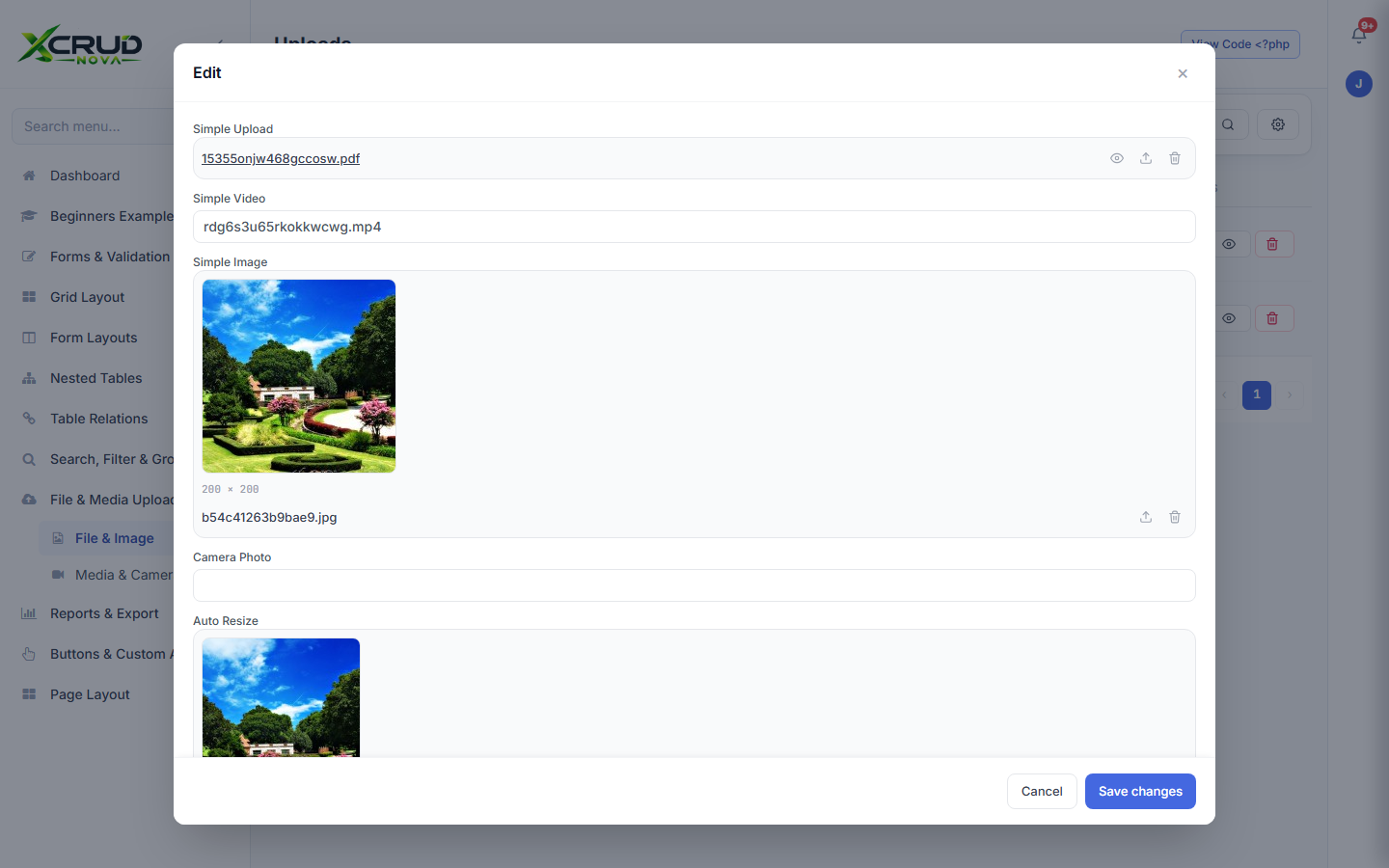 File and image upload fields with previews